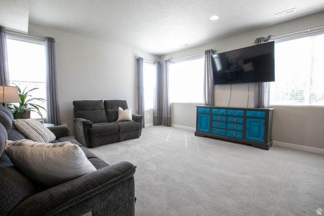 1132 S 750 W, Springville, UT 84663