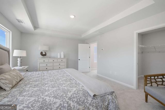 232 Black Walnut Way, Canton, GA 30114