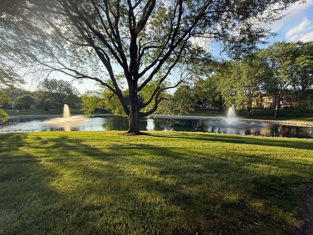 227 SPRING CREEK Circle, Schaumburg, IL 60173