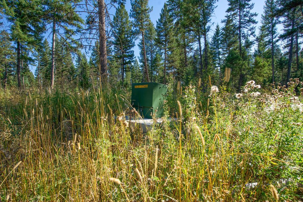 NHN N Dayton Creek Road, Proctor, MT 59929 photo 22