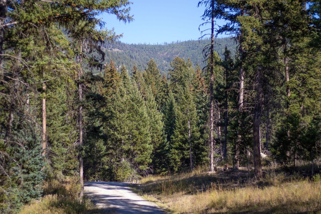 NHN N Dayton Creek Road, Proctor, MT 59929 photo 25