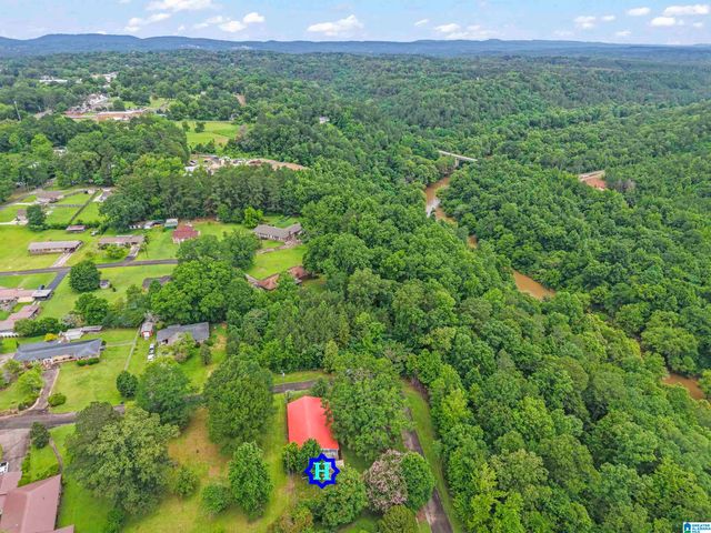 601 RIVERSIDE DRIVE, Warrior, AL 35180