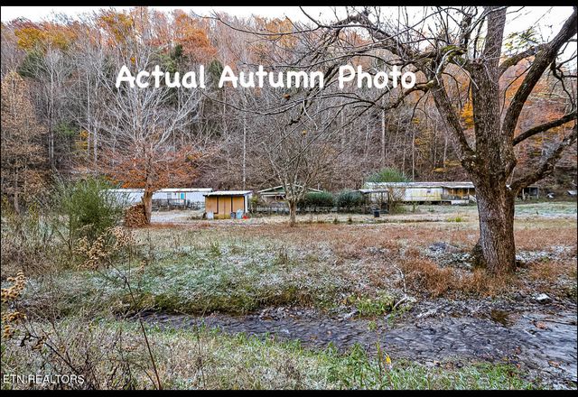 553 Caney Creek Rd, Pigeon Forge, TN 37863