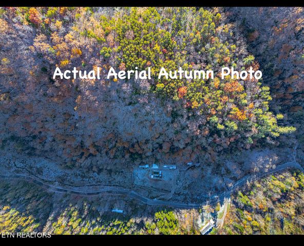 553 Caney Creek Rd, Pigeon Forge, TN 37863