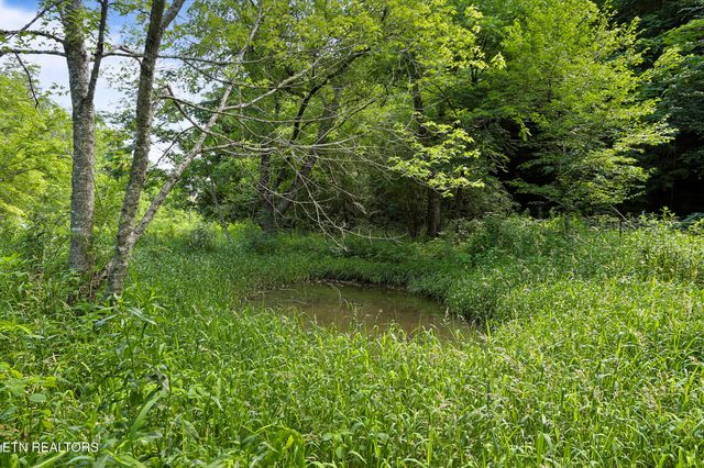 553 Caney Creek Rd, Pigeon Forge, TN 37863