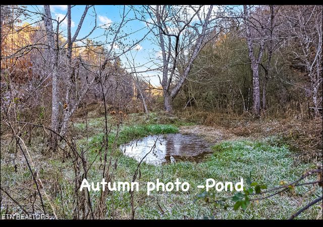 553 Caney Creek Rd, Pigeon Forge, TN 37863