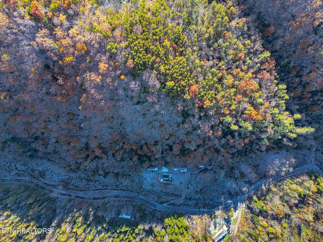 553 Caney Creek Rd, Pigeon Forge, TN 37863