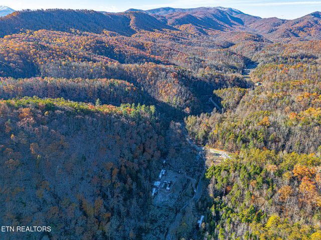 553 Caney Creek Rd, Pigeon Forge, TN 37863