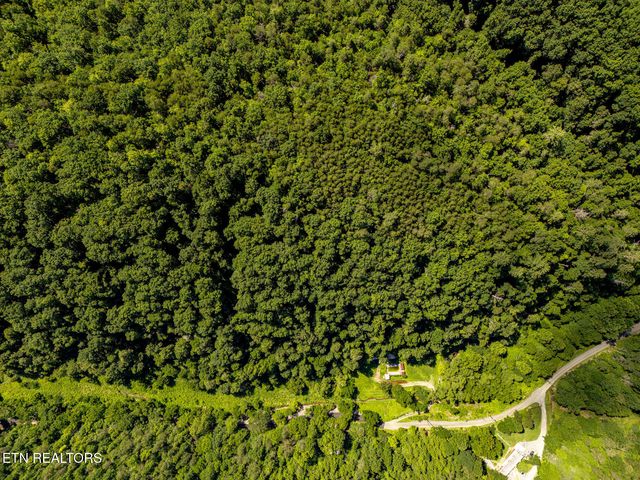 553 Caney Creek Rd, Pigeon Forge, TN 37863