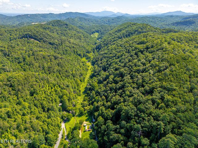 553 Caney Creek Rd, Pigeon Forge, TN 37863