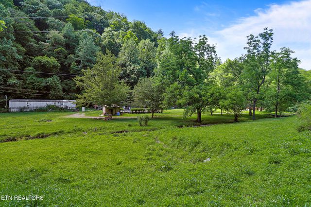553 Caney Creek Rd, Pigeon Forge, TN 37863