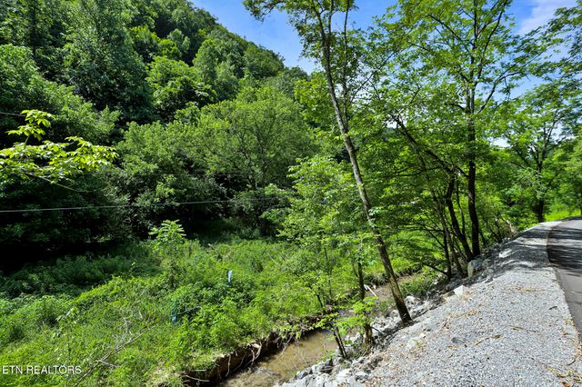 553 Caney Creek Rd, Pigeon Forge, TN 37863