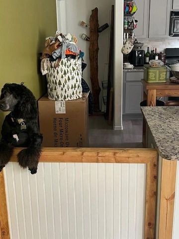 18984 Caney Forest Drive, New Caney, TX 77357