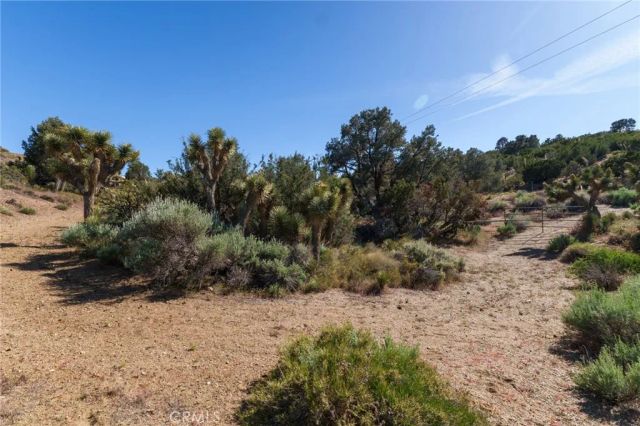 0 Silver Rock, Pinon Hills, CA 92372