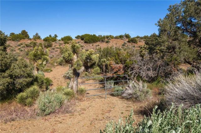 0 Silver Rock, Pinon Hills, CA 92372
