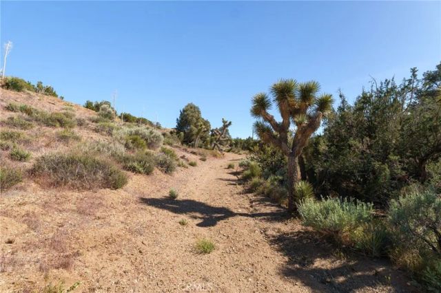 0 Silver Rock, Pinon Hills, CA 92372