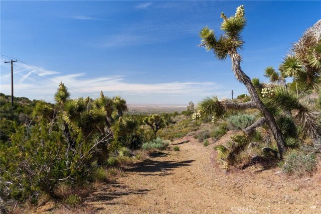 0 Silver Rock, Pinon Hills, CA 92372