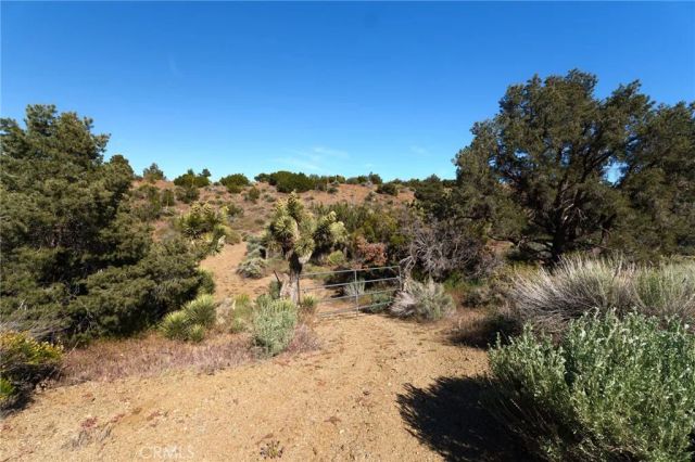 0 Silver Rock, Pinon Hills, CA 92372