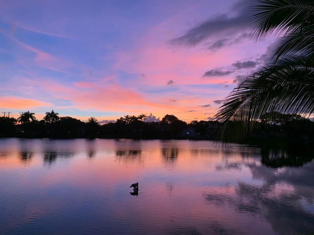 3342 Amsterdam Avenue, Cooper City, FL 33026