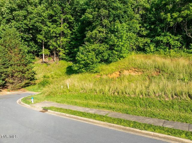 182 Quail Creek Court, Jonesborough, TN 37659
