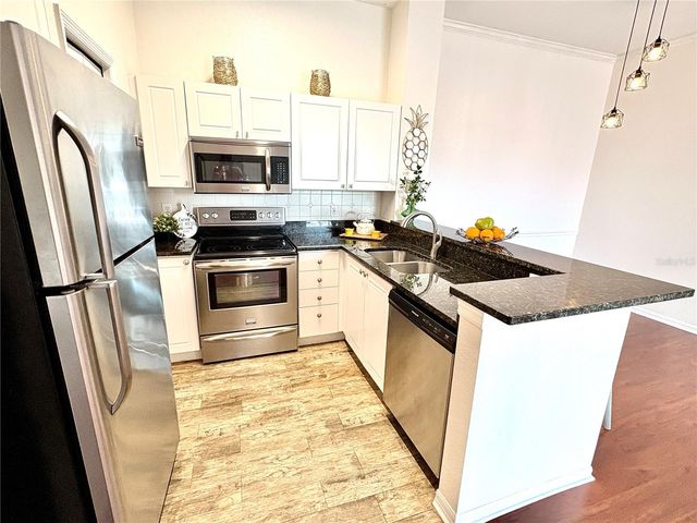 18107 PEREGRINES PERCH PLACE 6303, Lutz, FL 33558