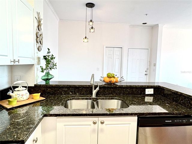 18107 PEREGRINES PERCH PLACE 6303, Lutz, FL 33558