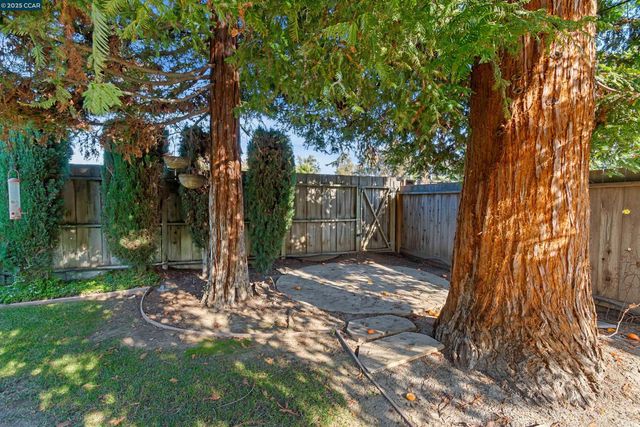 2425 Alvarado Dr, Santa Clara, CA 95051