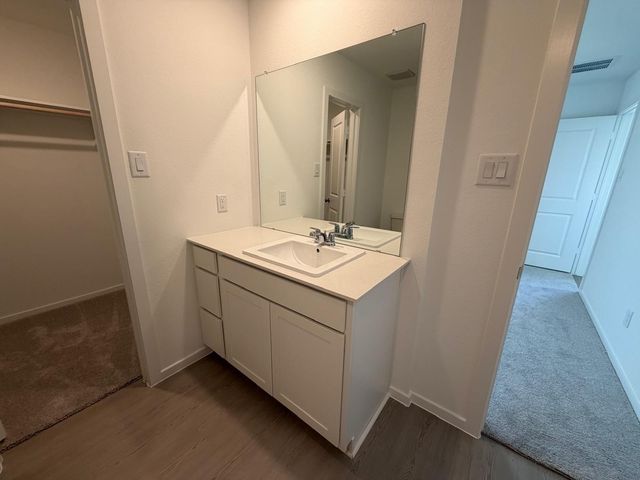 21634 Willow River Canyon Lane, Waller, TX 77484