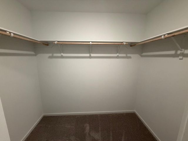 21634 Willow River Canyon Lane, Waller, TX 77484