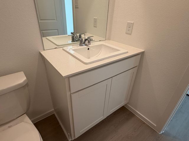 21634 Willow River Canyon Lane, Waller, TX 77484