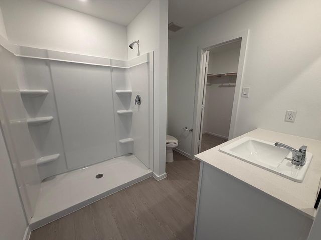 21634 Willow River Canyon Lane, Waller, TX 77484