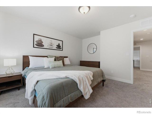 3217 Da Vinci Drive, Loveland, CO 80538