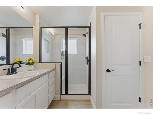 3217 Da Vinci Drive, Loveland, CO 80538