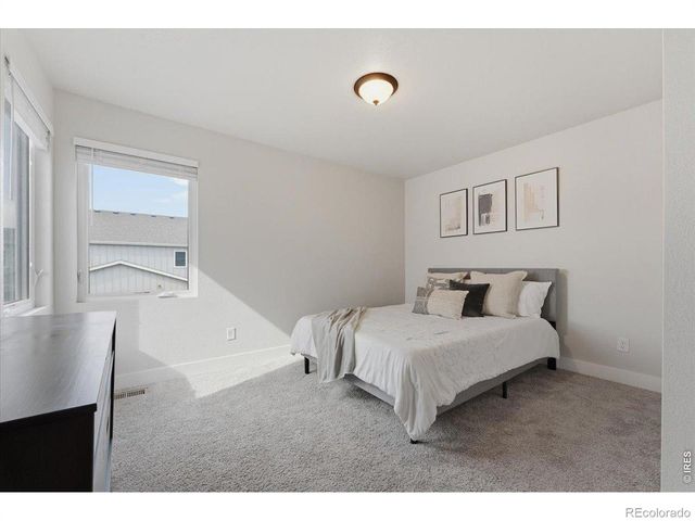 3217 Da Vinci Drive, Loveland, CO 80538