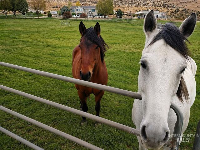 4255 Valley View Rd, Emmett, ID 83617