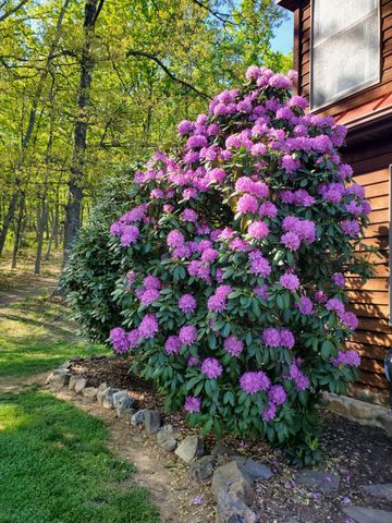 330 SIDELING MOUNTAIN DR, Slanesville, WV 25444
