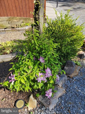 330 SIDELING MOUNTAIN DR, Slanesville, WV 25444