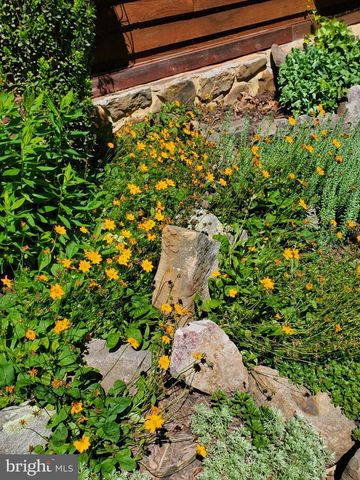 330 SIDELING MOUNTAIN DR, Slanesville, WV 25444