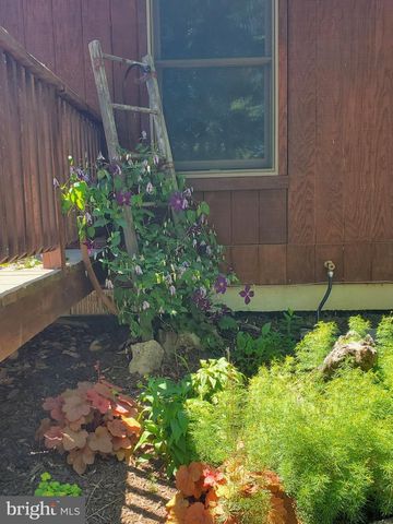 330 SIDELING MOUNTAIN DR, Slanesville, WV 25444