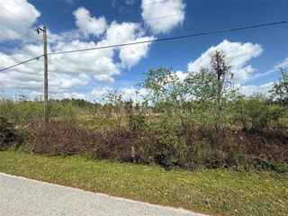 GREEN WILLOW RUN LOT 747, Wesley Chapel, FL 33544