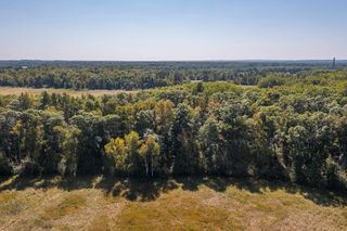 Tract C TBD Little Pine Road, Sylvan Twp, MN 56401