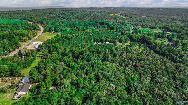 2020 Pleasant View Road, Fort Payne, AL 35967