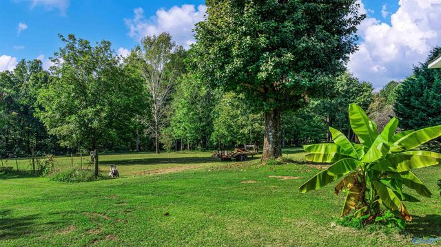 2020 Pleasant View Road, Fort Payne, AL 35967