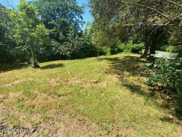147 Crockett Road, Senatobia, MS 38668