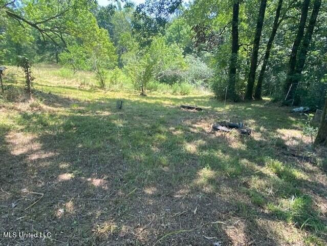147 Crockett Road, Senatobia, MS 38668