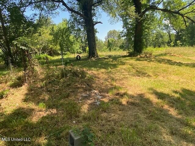 147 Crockett Road, Senatobia, MS 38668