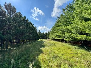 49928 County Highway 54, New York Mills, MN 56567