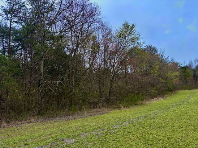 1 Kermet Turner Rd, Rock Island, TN 38581