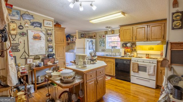 2717 Mount Pilgrim Road, Greenville, GA 30222