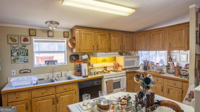 2717 Mount Pilgrim Road, Greenville, GA 30222